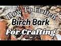 MUST SEE How To Flatten Curly Birch Bark for Crafts
