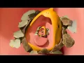 Aughhhh snoring meme Sound Variations in 45 seconds