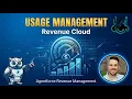 Mastering Usage Management in Salesforce Revenue Cloud From Setup to Invoicing