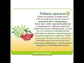 Lagu Питание для здоровья: Рябина красная/13.04.22