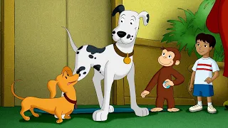 ¡Lo bueno viene en todos los tamaños! | Episodios Completos 🐵 Jorge El Curioso
