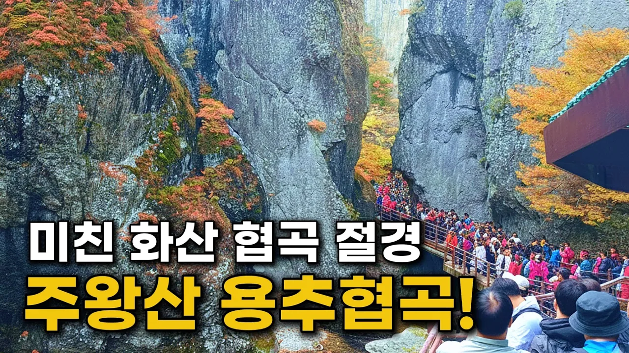 관련 영상 썸네일