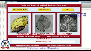 Potato Leaf Disease Detection Using Image Processing With Source Code Matlab Project Leaf Disease