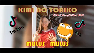 Download Kimi No Toriko | Kompilasi TikTok Cemewew Indonesia 2020 MP3