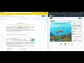 Coral Reef Gizmo--getting started