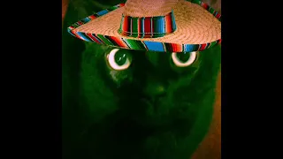 To much kratom might give you the wobbles but in scarmans case he s got the bobbles