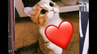 فاكره لما بدون موسيقى 