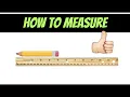 2nd Grade Standard Measurement