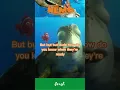 Finding Nemo - Quotes by Crush Marlin and Dory s friends