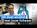Download Lagu De schade die alcohol kan aanrichten in jouw lijf