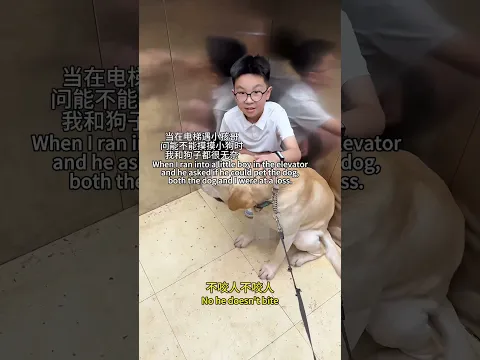 【旺仔很忙🐶wangzai is busy】电梯偶遇小孩哥，迷之操作惊呆我和狗子A kid's Bizarre Behavior Left Me and My Dog Speechless