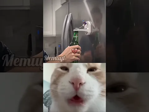 Crazy Gadget # #aesthetic #cat #shorts