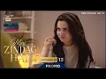 Meri Zindagi Hai Tu | PROMO | Upcoming Episode 13 | Hania Aamir | ARY Digital
