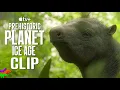 Eremotherium Prehistoric Planet Ice Age CLIP