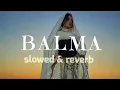  Balma - Shreya Ghoshal, Sreerama Chandra || Akshay Kumar, Asin, Himesh Reshammiya || Khiladi 786