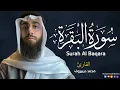 Download Lagu سورة البقرة ( كاملة ) للقارئ محمد ديبيروف | Muhammad Dibirov Surah Al-Baqara