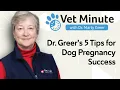 Improve Fertility Canine Pregnancy Outcomes of Female Dogs