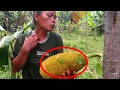 Download Lagu TUMBUH LIAR DI HUTAN|| NEKAD PANJAT POHON INI YANG BANYAK BANGET SARANG SEMUT😲😲