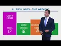Houston forecast Dry conditions and extreme tree pollen levels