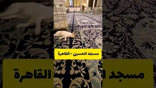 داخل مسجد الإمام الحسين في القاهرة مصر 