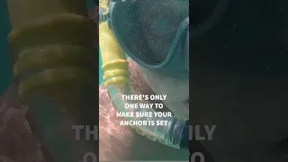 Check your anchor, dive down #sailinglifestyle #windedvoyage #solosailing #caboverde #travel