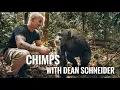 Ontmoet de chimpansees met Dean Schneider