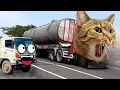 Download Lagu Wow Bus Telolet Basuri Cari Truk Oleng Joget, Truk Kontainer Truk Molen Mirip Frank Tayo Transformer