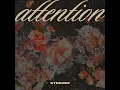 Attention - Strandz