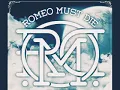 Download Lagu Romeo Must Die - Temukan Jalanmu (Lirik)