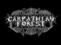 carpathian forest-black shining leather