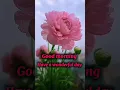Good morning