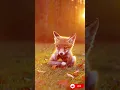 Download Lagu This Baby Fox Is Straight Out of a Fairytale 🦊🍂