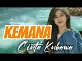 Download Lagu Kemana Cinta Kubawa || Hary parintang