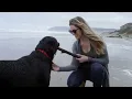 Westwood Sunglasses Timbermine Collection 2 0 Kickstarter