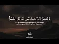 Lagu Sourate Al-Munaafiqoon | Mahdi Ash-Shishani سورة  المنافقون | Махди аш-Шишани 2.0
