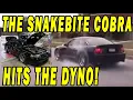 THE OG Snakebite 03 Kenne Bell Cobra Hits the Dyno
