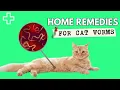 Home Remedies For Worms In Cats - Natural Dewormer For Cats