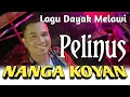 Download Lagu Pelinus - Nanga Koyan ( Live Musik )