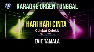 Download HARI HARI CINTA - EVIE TAMALA / KARAOKE ORGEN TUNGGAL MP3