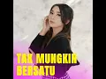 Tak Mungkin Bersatu