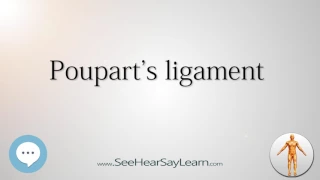Poupart s ligament Anatomy Named After People