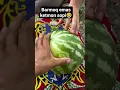 Download Lagu layk bos barmoq emas ketmon sopi 🤣🤣 #obuna #garden #fruit #rekkkkkkkkkkkkk