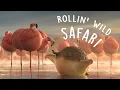 ROLLIN SAFARI - what if animals were round