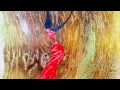 Trio Chemirani feat. Omar Sosa & Balaké Sissoko - Azadeh