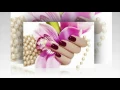 Top Nails in Hendersonville NC 28792 - Phone 828 693