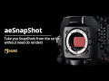 Quick SnapShots from Your Script with aeSnapShot