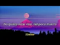 Pajaros-Porter
