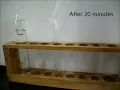 Investigating Diffusion Through a membrane