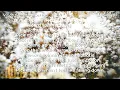 Vince Staples - Cotton (Lyrics)