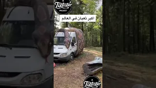 اكبر ثعبان في العالم 